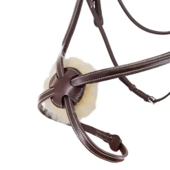 Bridon Croisé Stationata