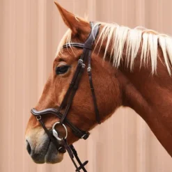 Bridon Cuir Soft et Anatomique Stationata