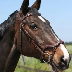 Bridon Cuir Soft et Anatomique Stationata