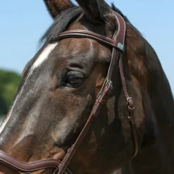 Bridon Cuir Soft et Anatomique Stationata