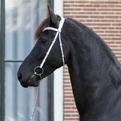 Bridon de présentation Luxe QHP