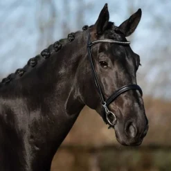 Bridon de présentation Vesta QHP