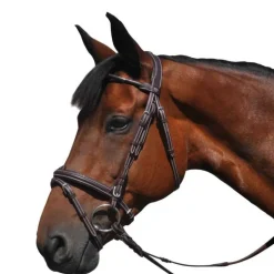 Bridon Doha Flags&Cup