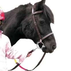 Bridon éducatif Club Shetland Canter