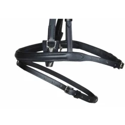 Bridon Easy mors T de T