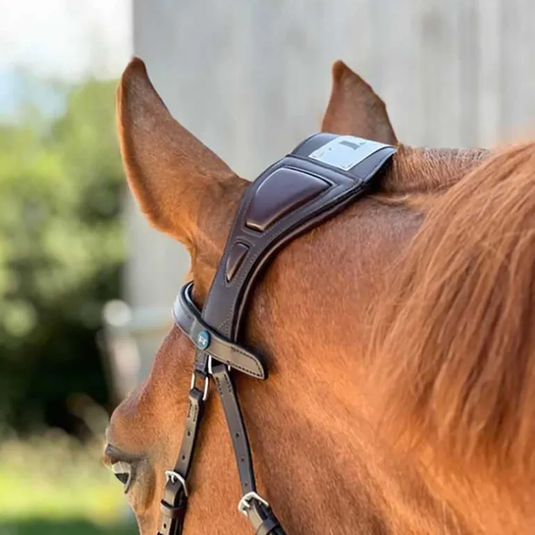 Bridon Essentiel à pont T de T