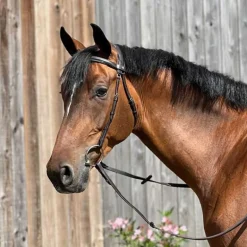 Bridon Essentiel confort T de T