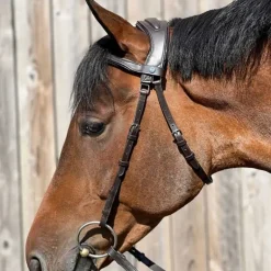 Bridon Essentiel confort T de T