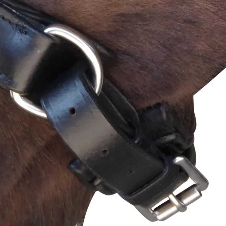 Bridon Euro Pull-back Canter