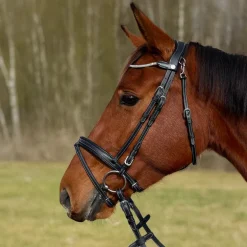 Bridon Genève Flags&Cup