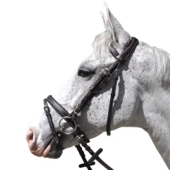 Bridon Göteborg Flags&Cup