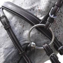 Bridon Göteborg Flags&Cup