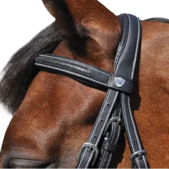 Bridon Helsinski Flags&Cup