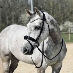 Bridon Hopper T de T