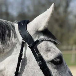 Bridon Hopper T de T