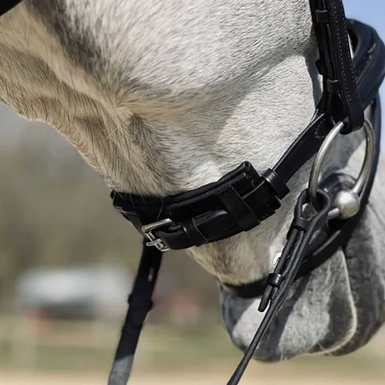 Bridon Hopper T de T