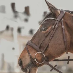 Bridon Hopper T de T