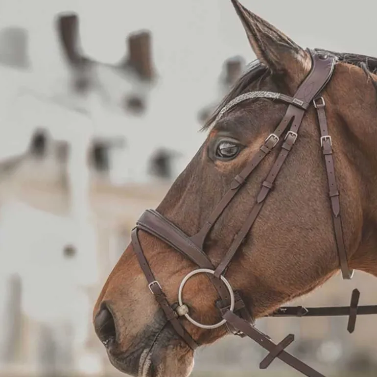 Bridon Hopper T de T