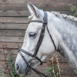 Bridon Kessel T de T