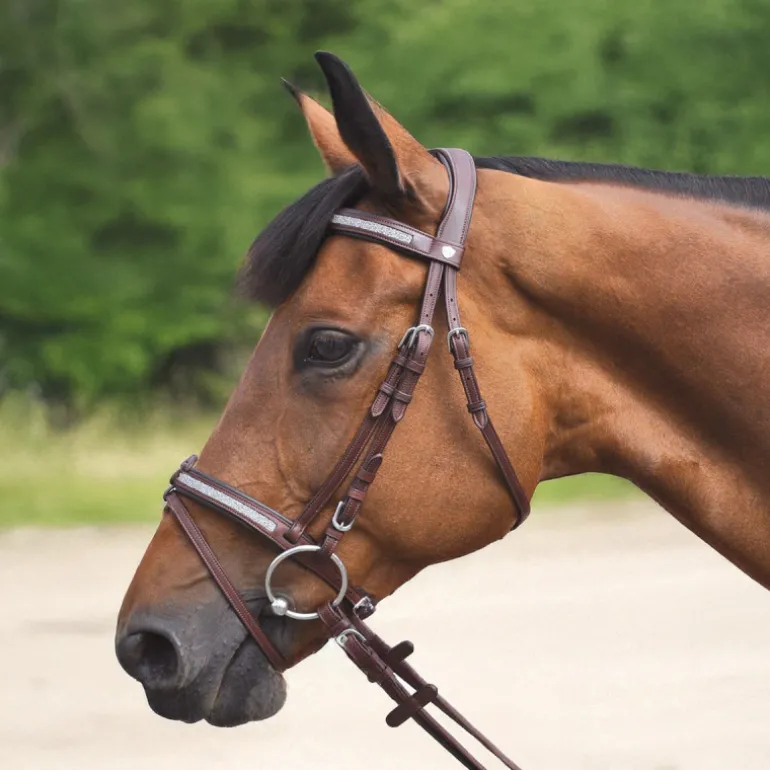 Bridon Kitsi Flags&Cup