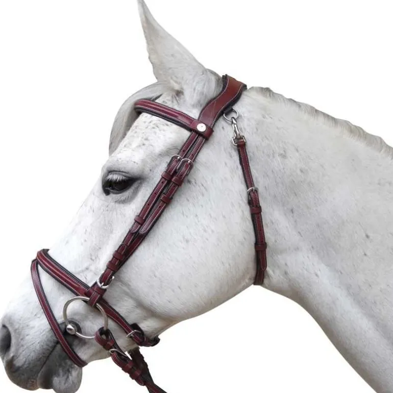 Bridon Lanaken Flags&Cup