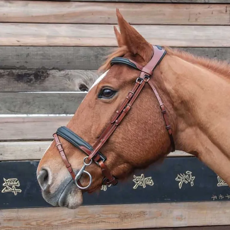 Bridon Lautrec T de T