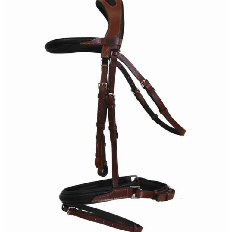 Bridon Lautrec T de T