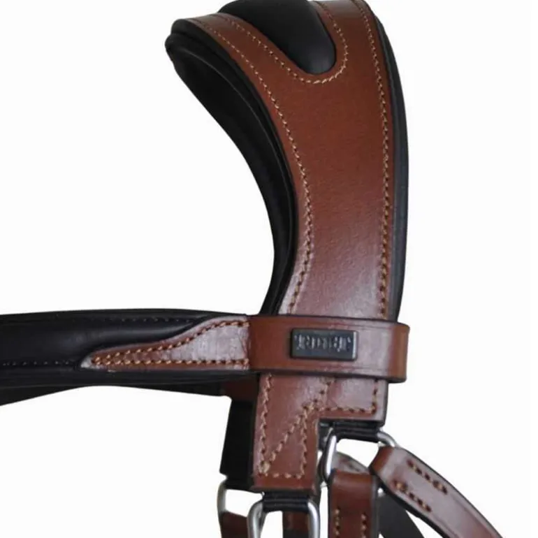 Bridon Lautrec T de T