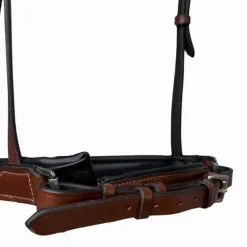 Bridon Lautrec T de T