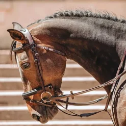 Bridon Lautrec T de T