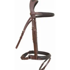 Bridon Lautrec T de T