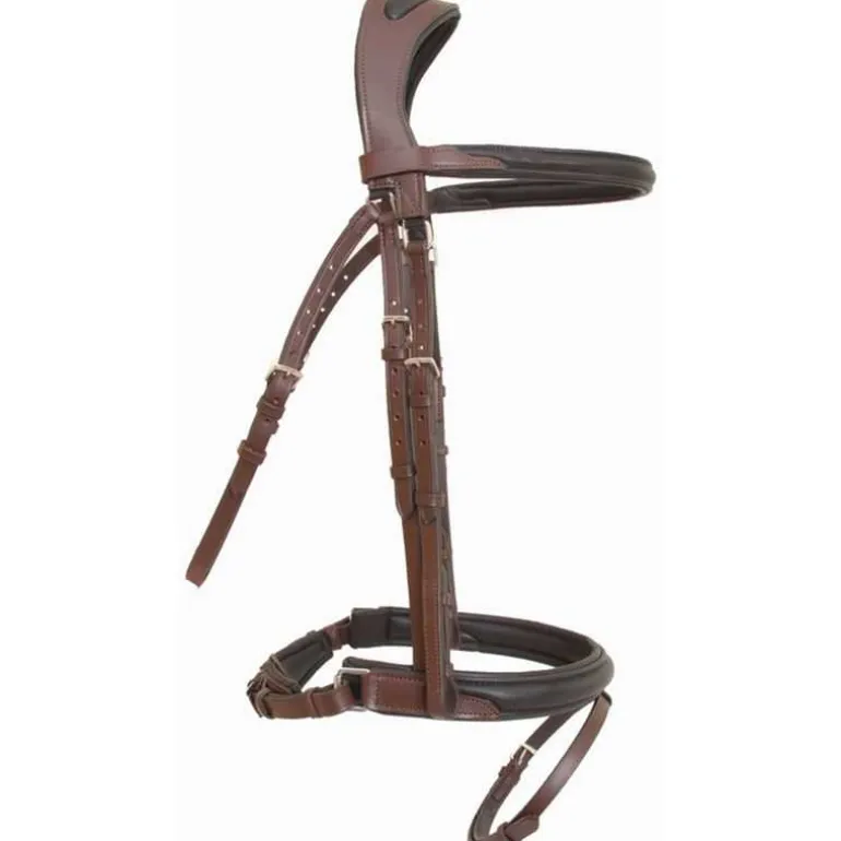 Bridon Lautrec T de T