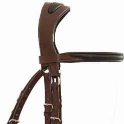 Bridon Lautrec T de T