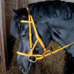 Bridon Licol Biotack T de T