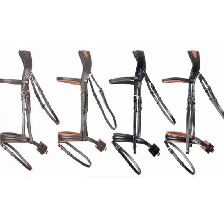 Bridon Matisse T de T