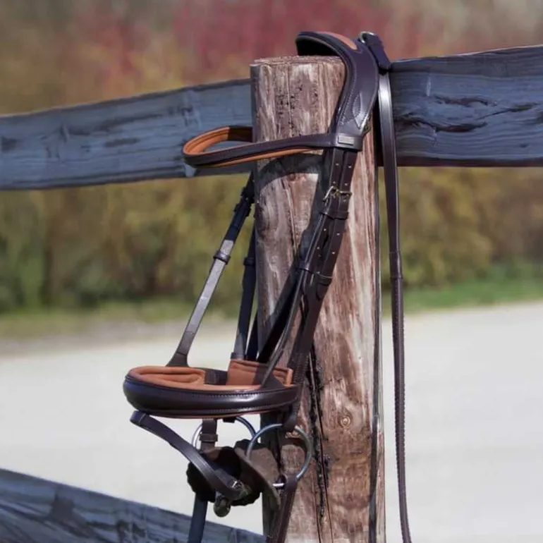 Bridon Matisse T de T