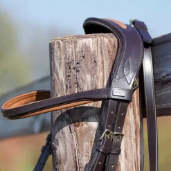 Bridon Matisse T de T