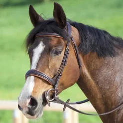 Bridon Matisse T de T