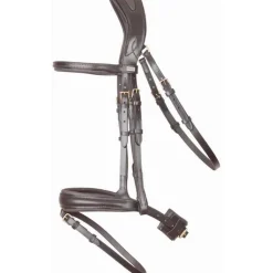 Bridon Matisse T de T