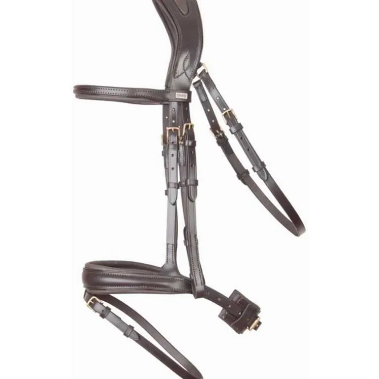 Bridon Matisse T de T