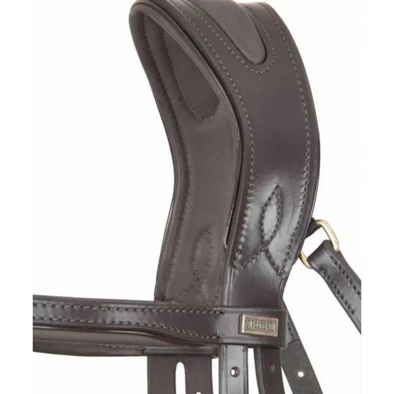 Bridon Matisse T de T