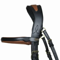 Bridon Matisse T de T