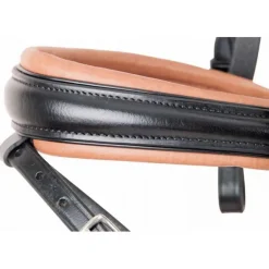 Bridon Matisse T de T