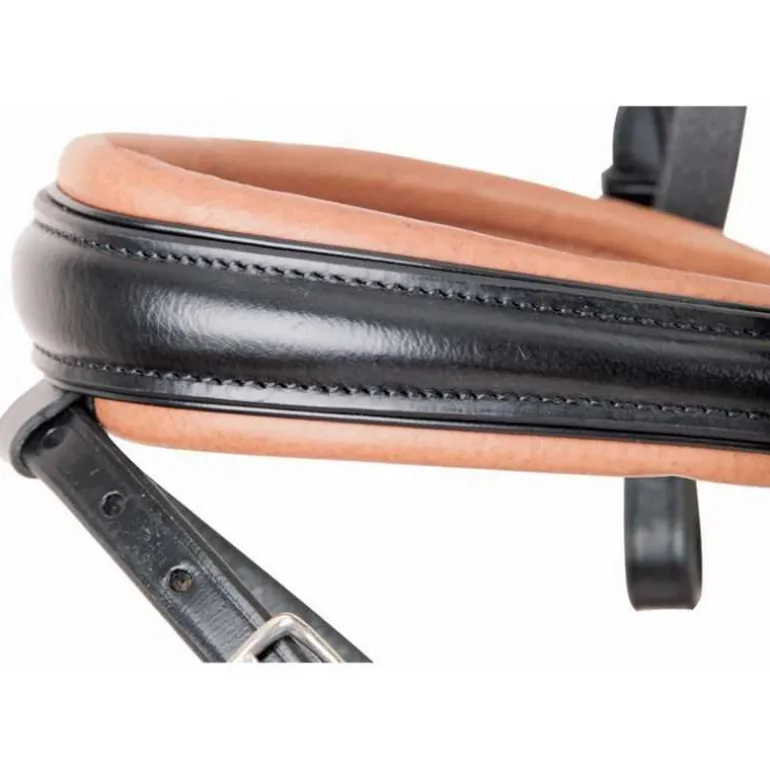 Bridon Matisse T de T