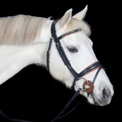 Bridon Matisse T de T