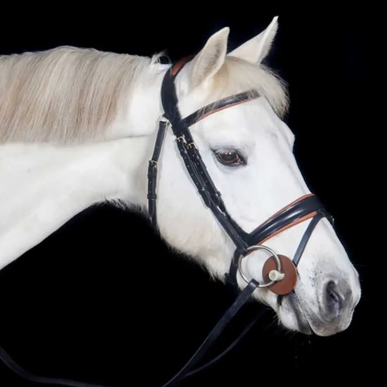 Bridon Matisse T de T