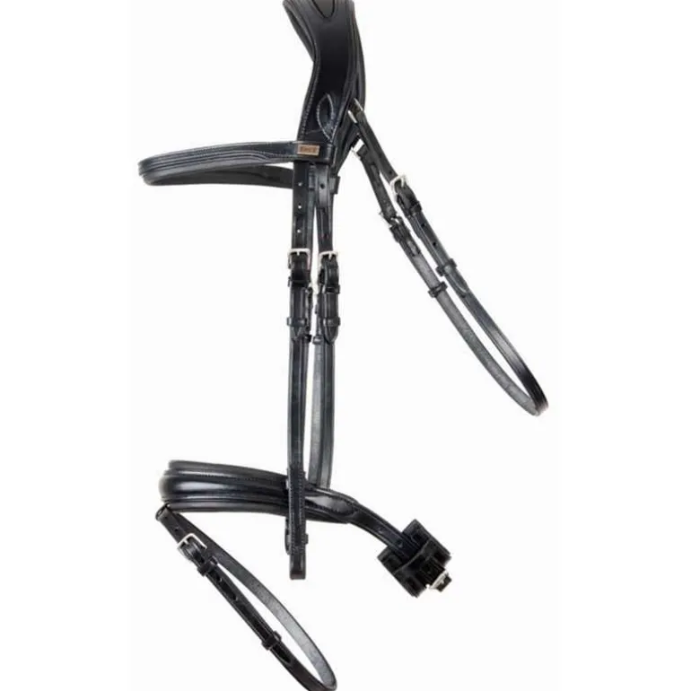 Bridon Matisse T de T