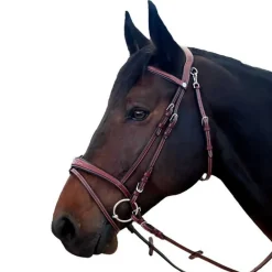 Bridon New-York Flags&Cup