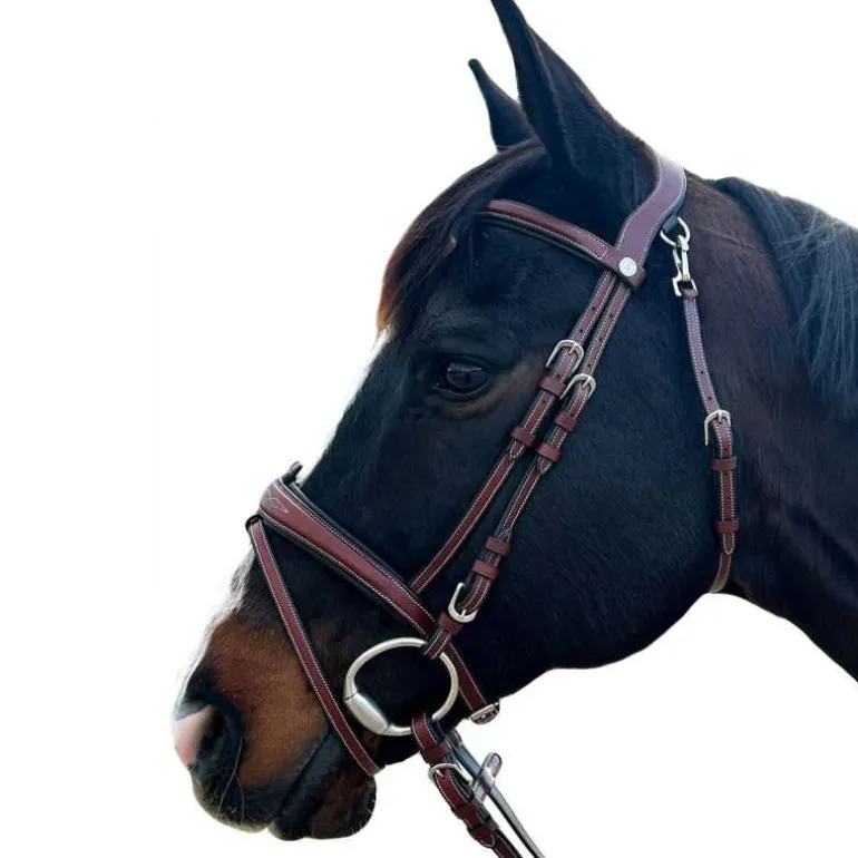 Bridon New-York Flags&Cup