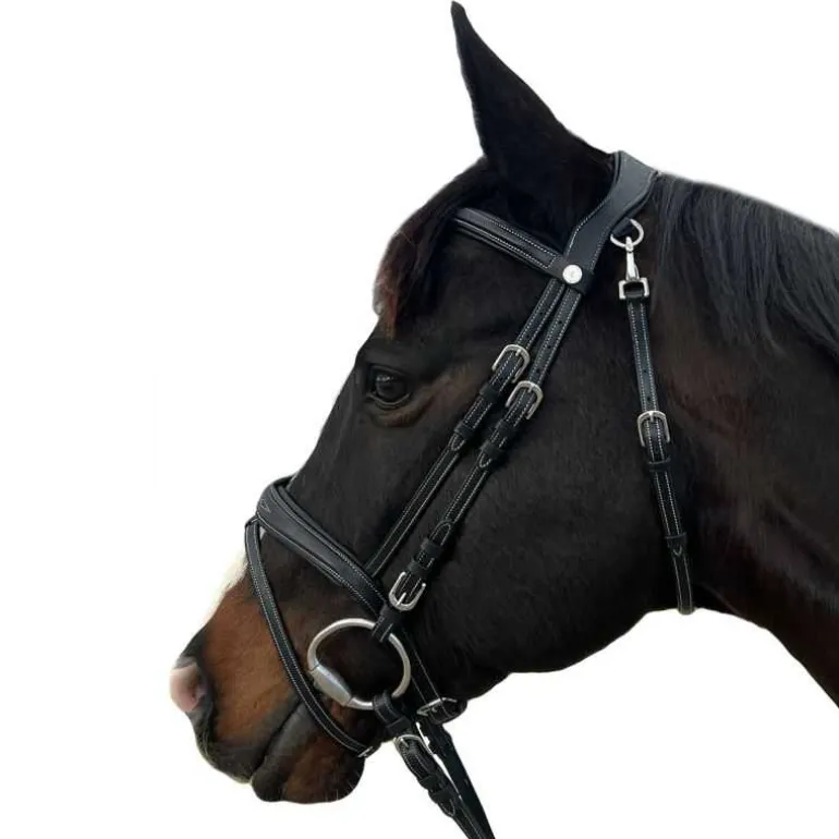 Bridon New-York Flags&Cup